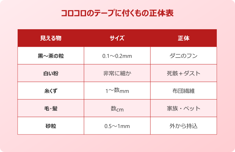 コロコロ ダニ 見える 正体