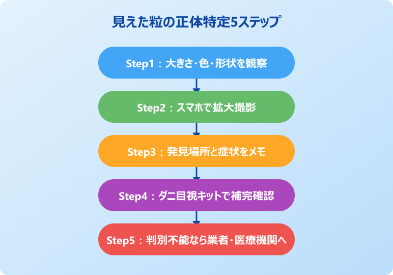 ダニのフン 見える 確認手順