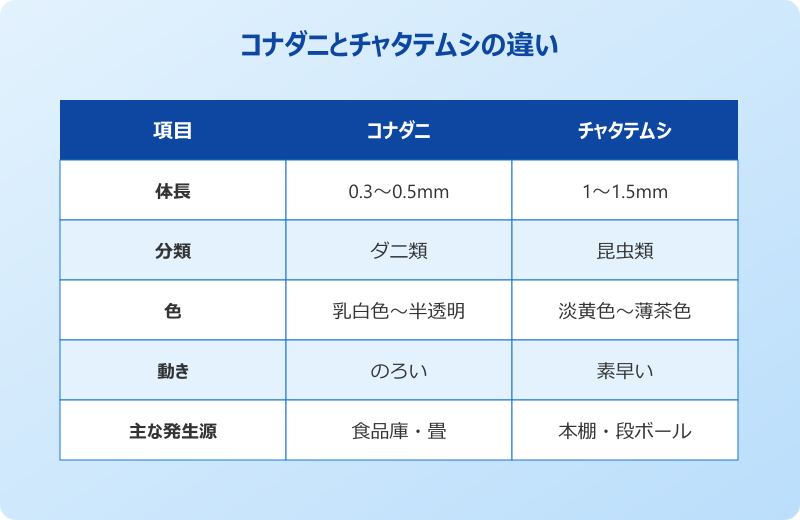 ダニ 見える 白い コナダニとチャタテムシの比較