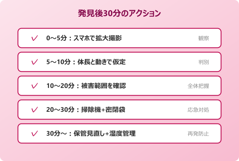 ダニ 見える 白い 30分アクションフロー