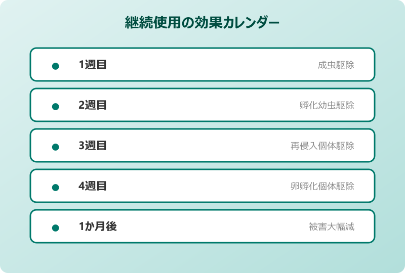 ダニムエンダー 布団 対策完成形