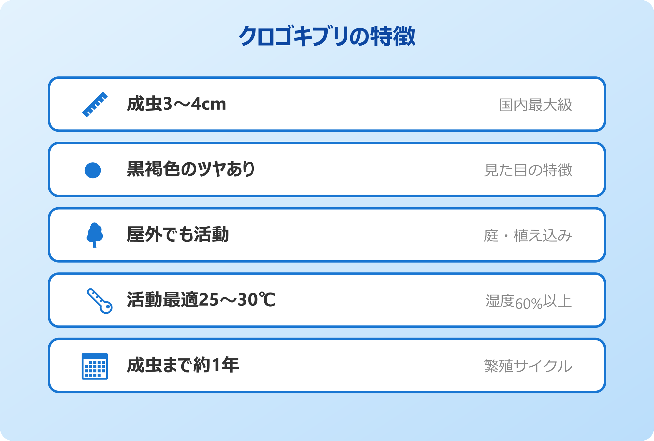 クロゴキブリの特徴