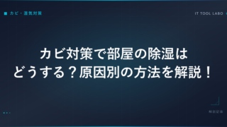 カビ対策で部屋の除湿はどうする？原因別の方法を解説！