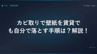 カビ取りで壁紙を賃貸でも自分で落とす手順は？解説！