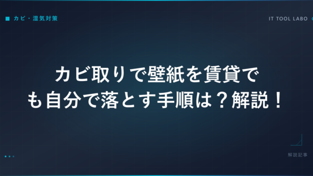 カビ取りで壁紙を賃貸でも自分で落とす手順は？解説！