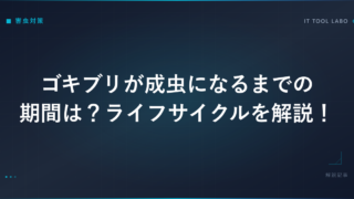 ゴキブリが成虫になるまでの期間は？ライフサイクルを解説！