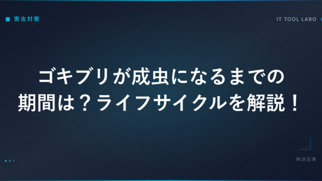 ゴキブリが成虫になるまでの期間は？ライフサイクルを解説！