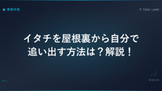 イタチを屋根裏から自分で追い出す方法は？解説！