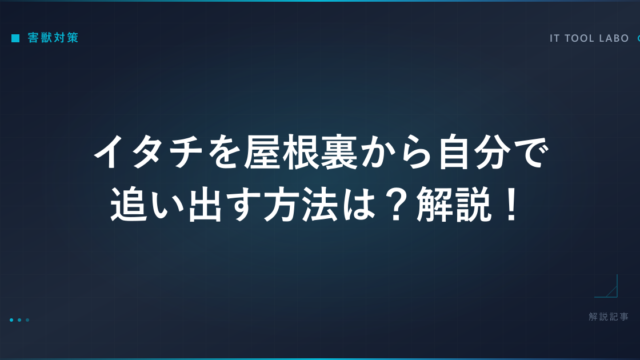 イタチを屋根裏から自分で追い出す方法は？解説！