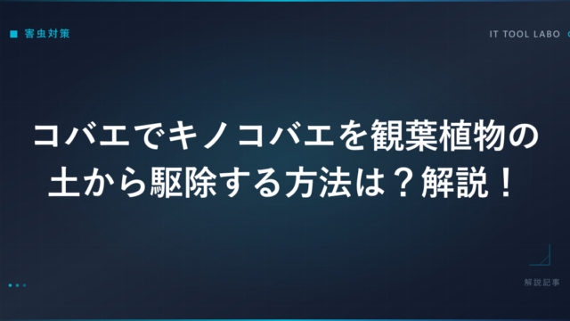 コバエでキノコバエを観葉植物の土から駆除する方法は？解説！