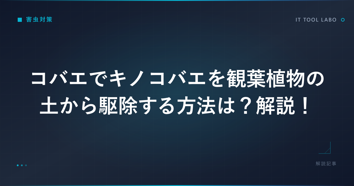 コバエでキノコバエを観葉植物の土から駆除する方法は？解説！
