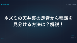 ネズミの天井裏の足音から種類を見分ける方法は？解説！