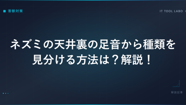 ネズミの天井裏の足音から種類を見分ける方法は？解説！