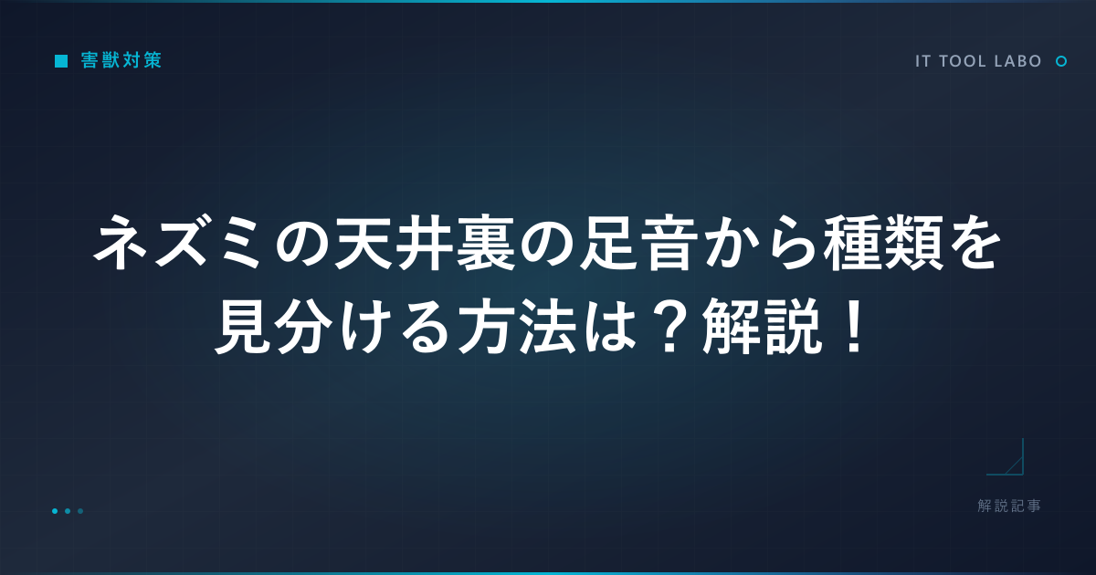 ネズミの天井裏の足音から種類を見分ける方法は？解説！