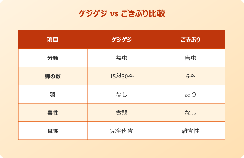 ゲジゲジとごきぶりの違いと共通点