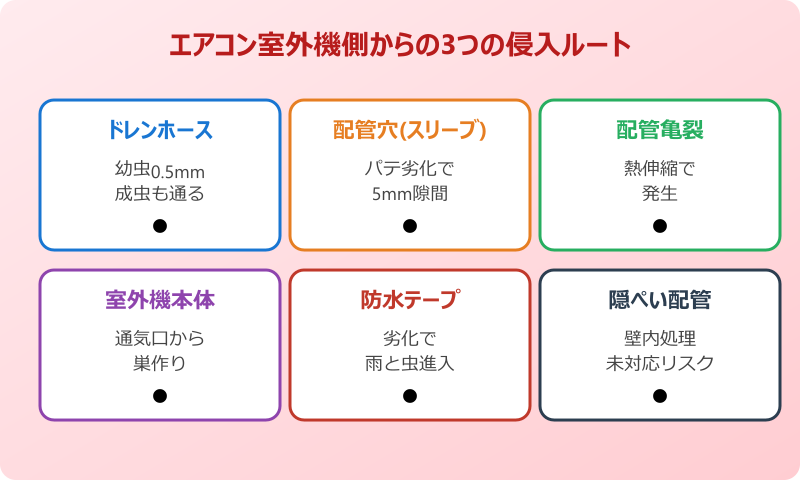 ゴキブリ エアコン ドレンホース 浮かし切り 手順