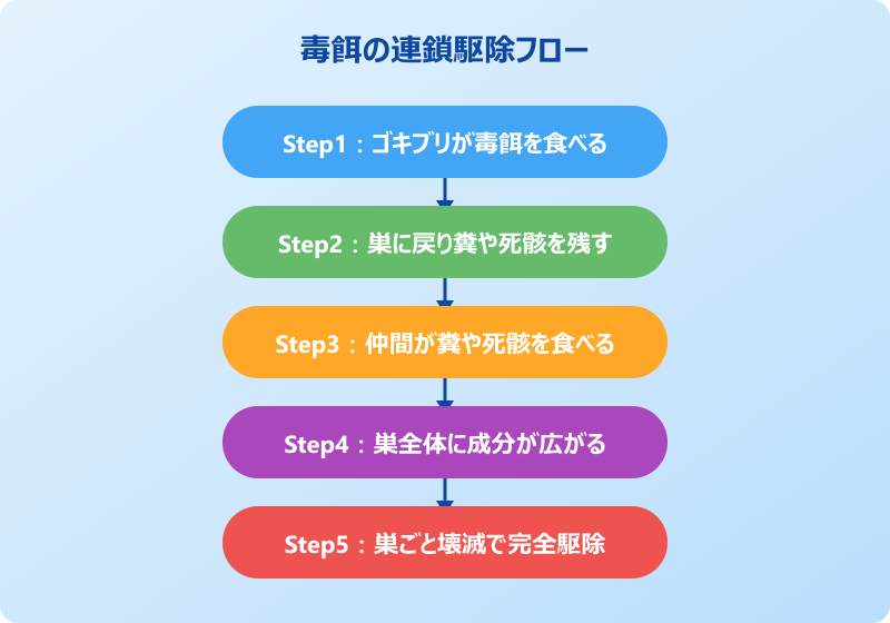 ゴキブリ 毒餌 連鎖駆除の仕組み