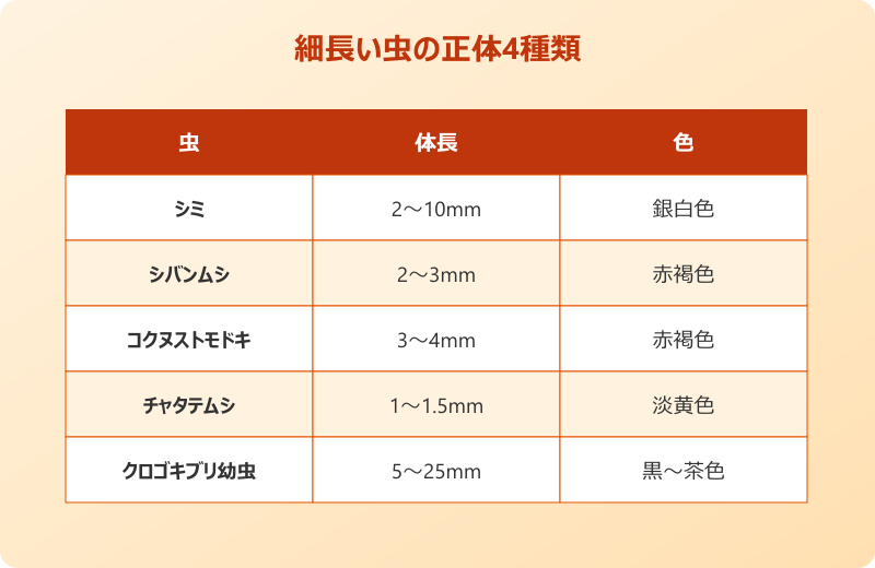 ゴキブリみたいな虫 細長い 4種類比較