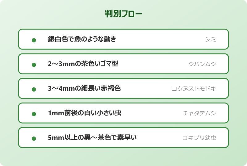 ゴキブリみたいな虫 細長い 判別フロー
