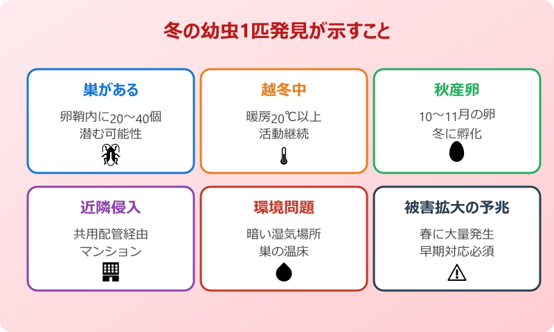 ゴキブリ 幼虫 一匹だけ 冬の意味