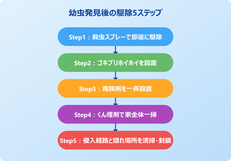 ゴキブリ 幼虫 駆除5ステップ