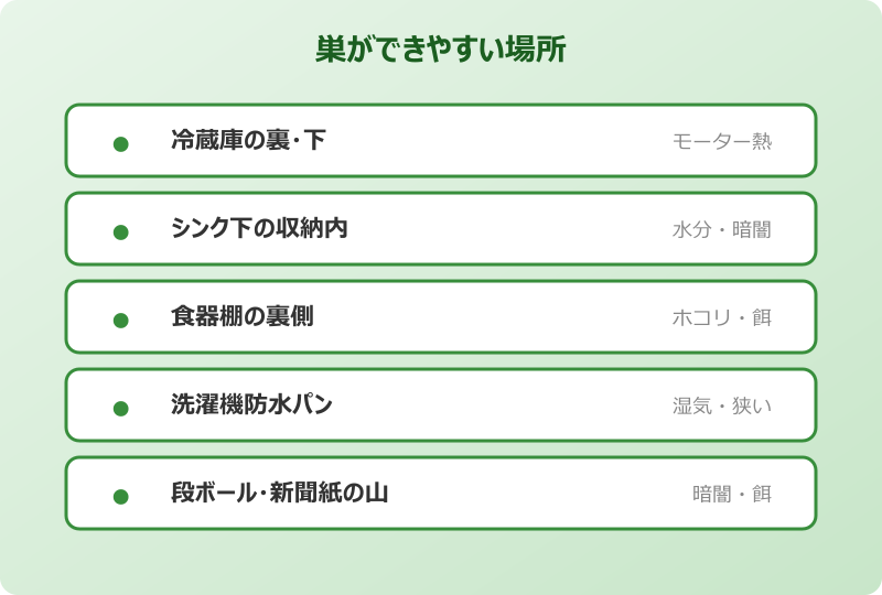 ゴキブリ 幼虫 巣ができやすい場所