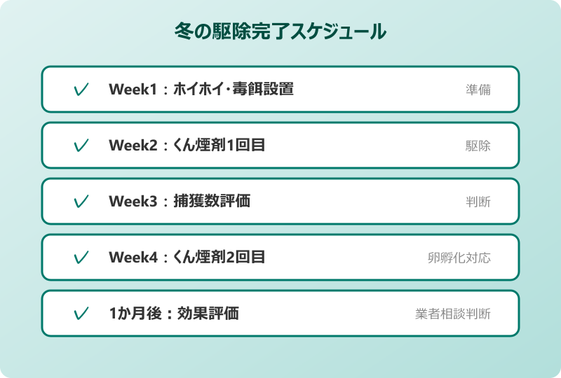 ゴキブリ 幼虫 冬の駆除完了スケジュール