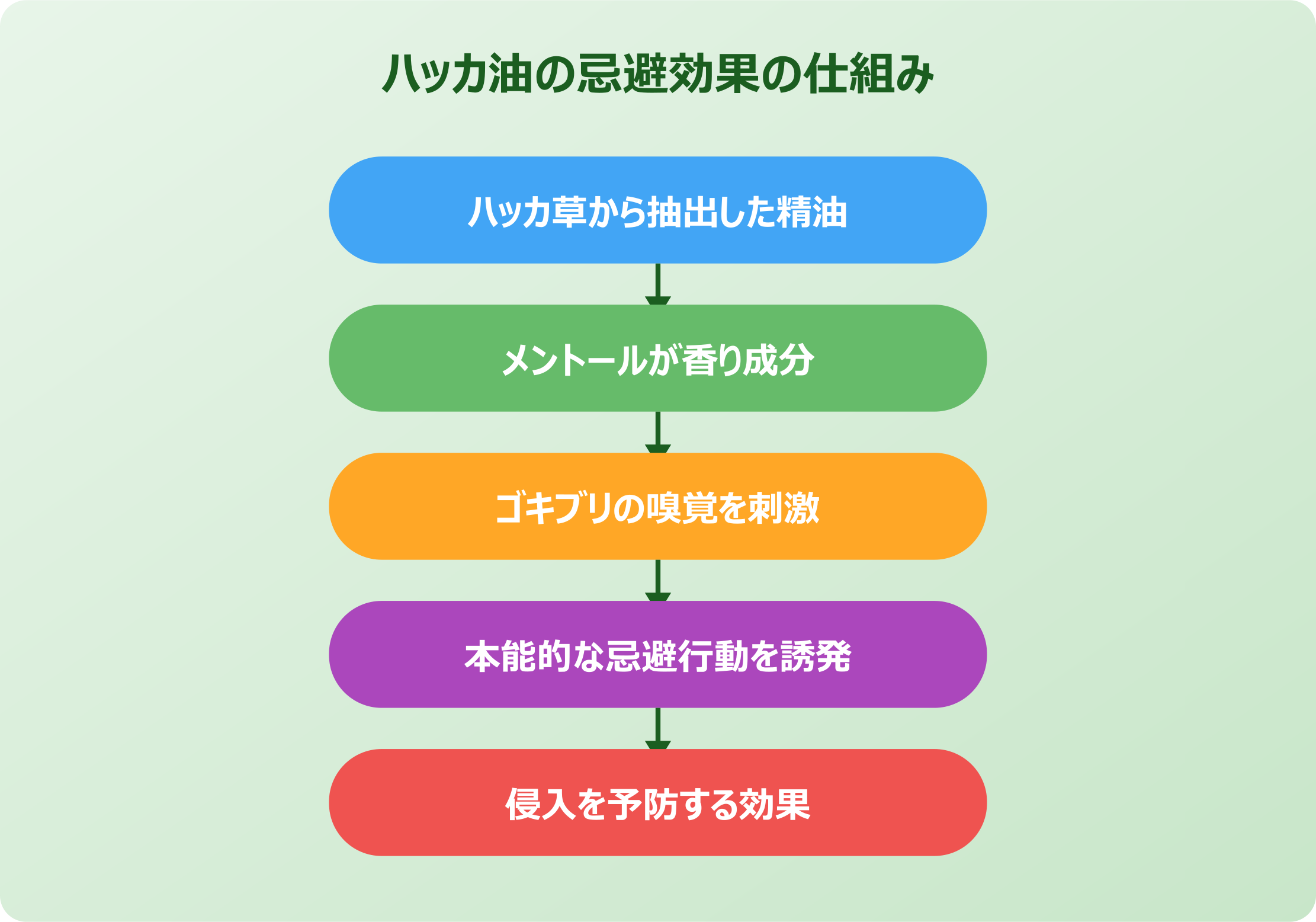 ゴキブリにはっか油が効く理由と効果の限界