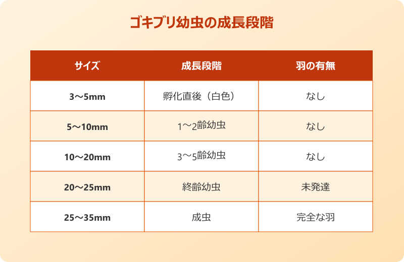 ゴキブリ 羽がない 種類 正体