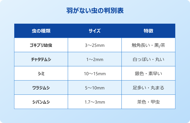 ゴキブリ 幼虫 他の虫 見分け方