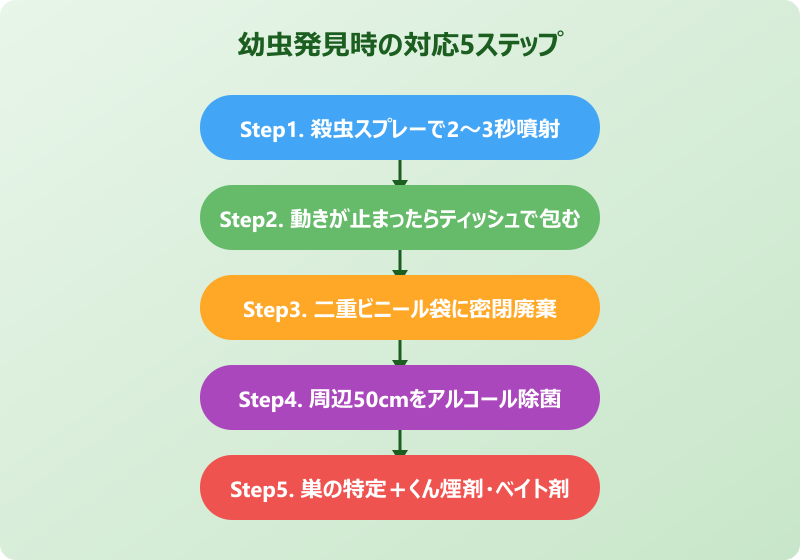 ゴキブリ 幼虫 発見時 対応
