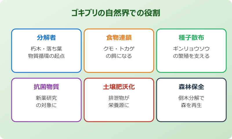 ゴキブリ いなくなったら困ること 自然界の役割