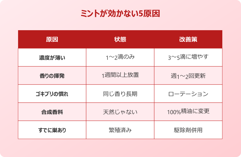 ゴキブリ ミント 効かない 5つの原因