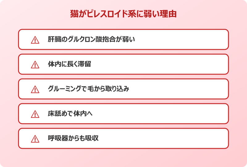 ゴキブリ 対策 猫 ピレスロイド系に弱い理由