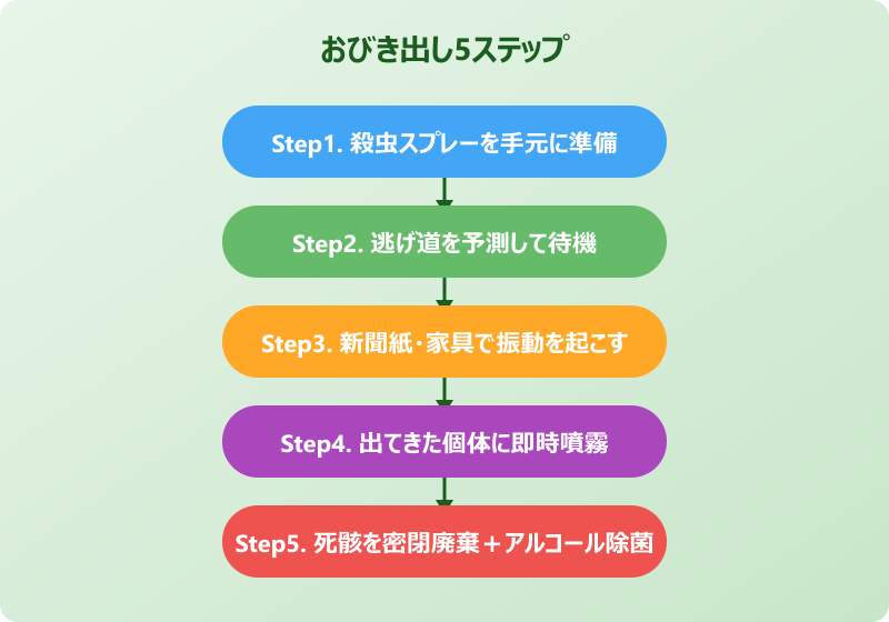 ゴキブリ おびき出し後 確実駆除