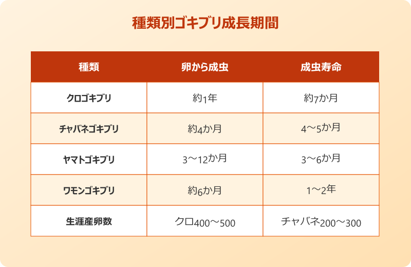 ゴキブリ 成虫になるまで チャバネ