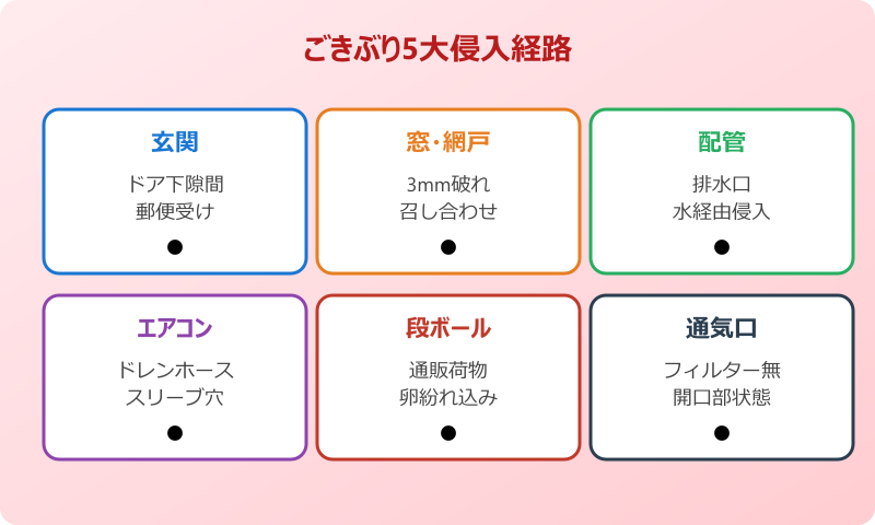ごきぶり 侵入経路 配管 排水口