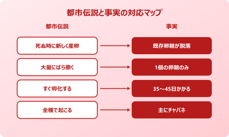 ゴキブリ 死ぬ時 卵 都市伝説 真相
