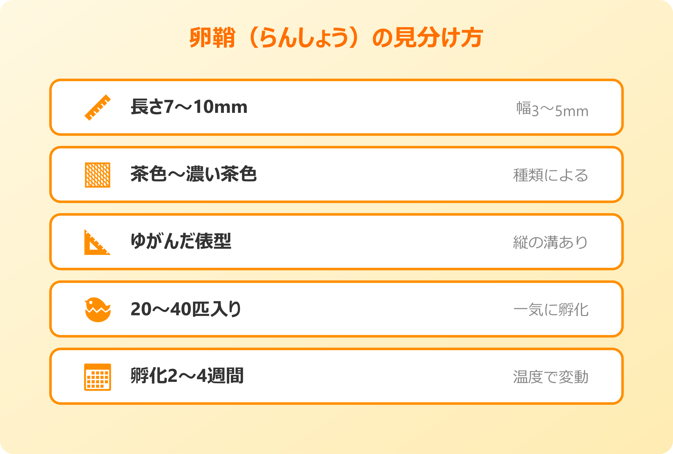 ゴキブリ卵鞘の見分け方