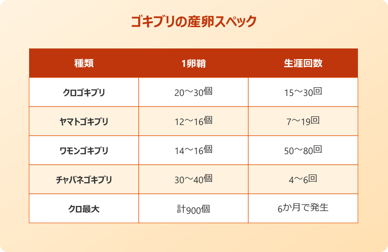 ゴキブリ 卵鞘 卵数 内訳