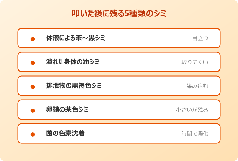 ゴキブリ 叩く 体液 付着 シミ