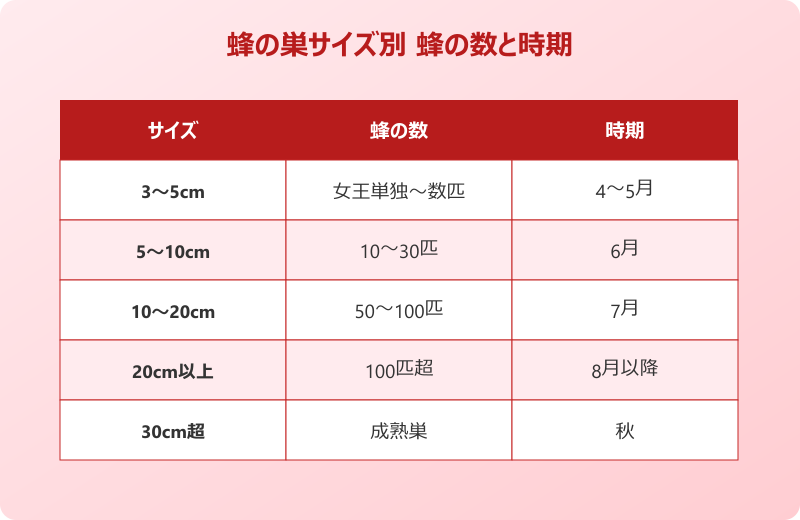 蜂の巣 駆除 後 片付け 再発 防止