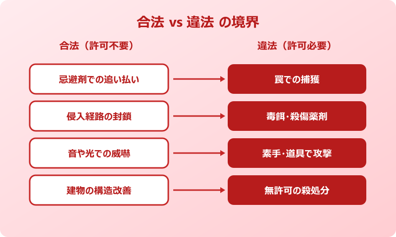 ハクビシン 賃貸 出た 対応