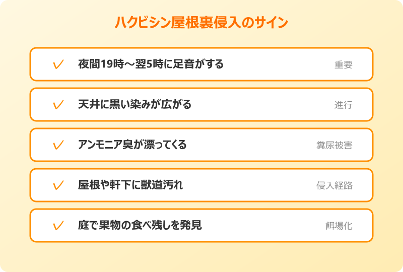 ハクビシンが屋根裏にいるサインと初動対応