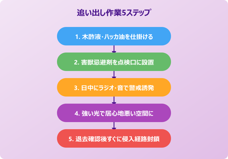 ハクビシンを屋根裏から追い出す対策の進め方
