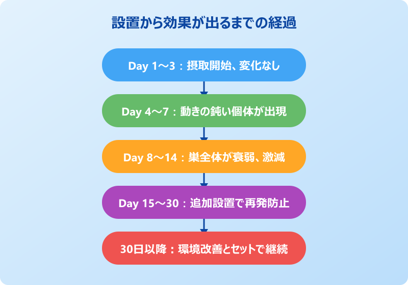 ホウ酸団子 効果が出るまでのタイムライン