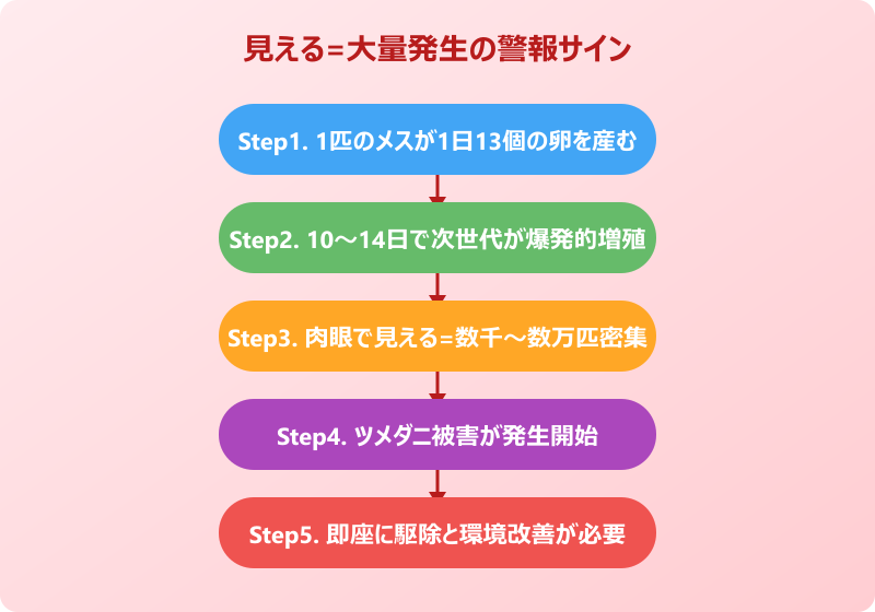 コナダニ 大量発生 警報