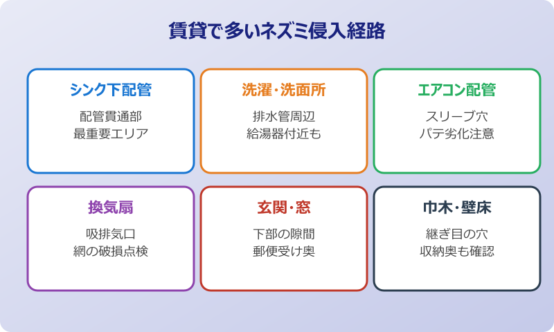 ネズミの侵入口を賃貸で見つけるためのチェックポイント