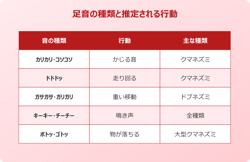 ネズミ 種類 侵入経路 傾向