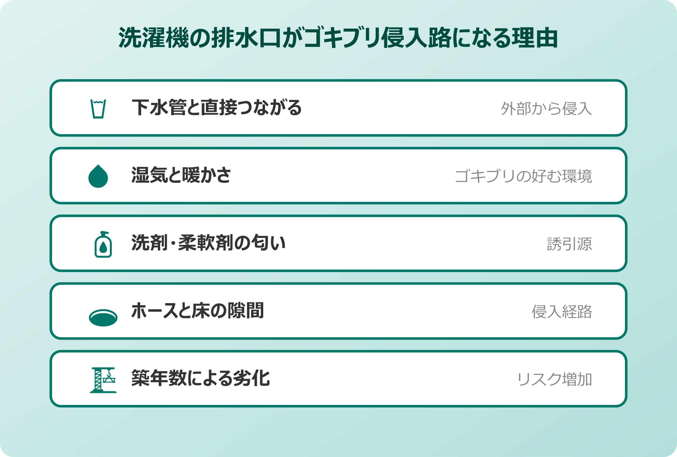 洗濯機の排水口がゴキブリの侵入路になる理由